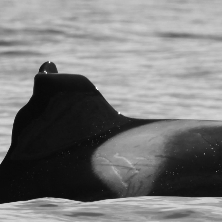 IS118 (Photo by Sara Tavares)