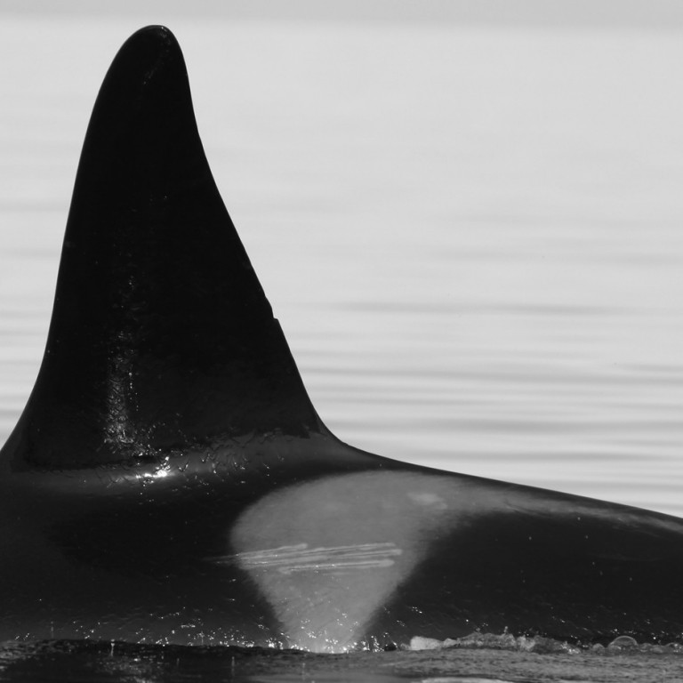 IS120 (Photo by Olga Filatova)