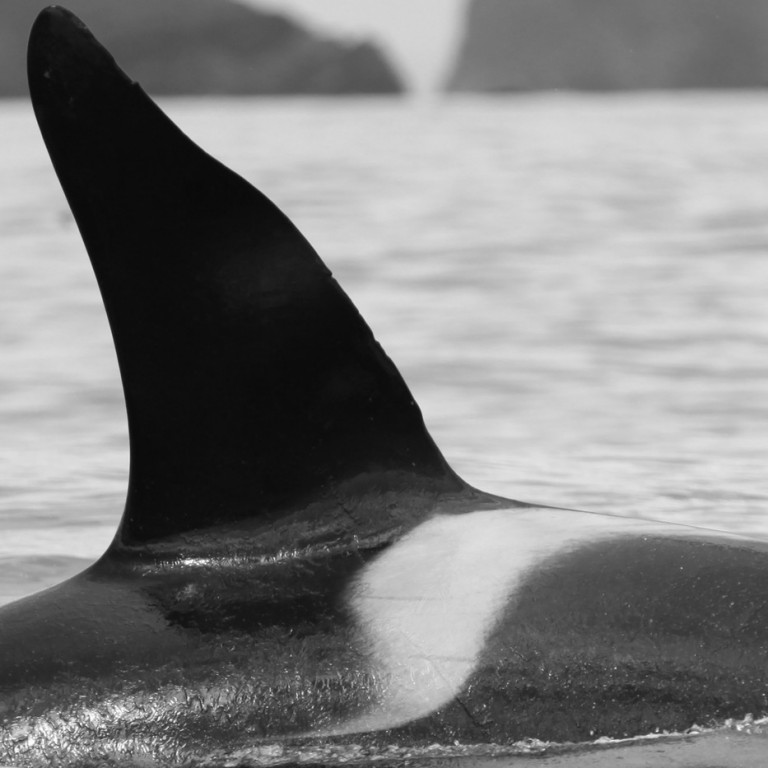 IS122 (Photo by Sara Tavares)