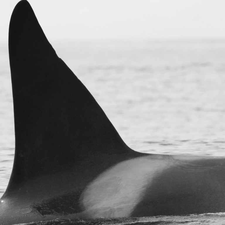 IS125 (Photo by Sara Tavares)