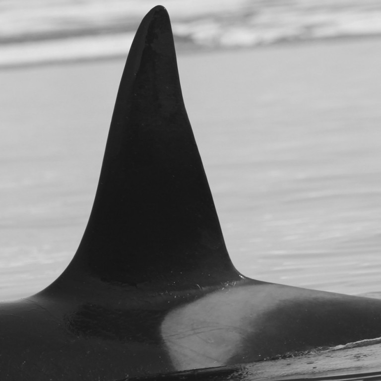 IS136 (Photo by Sara Tavares)