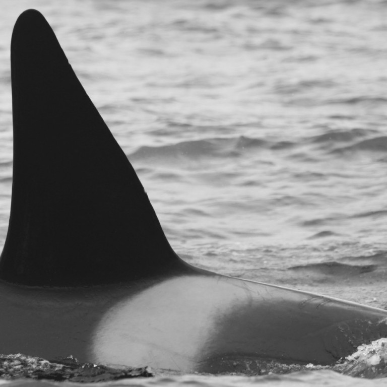 IS139 (Photo by Sara Tavares)