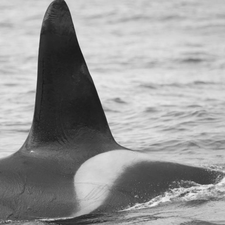 IS143 (Photo by Sara Tavares)