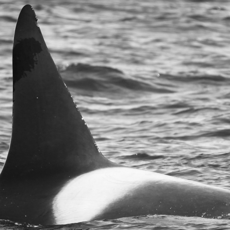 IS150 (Photo by Sara Tavares)