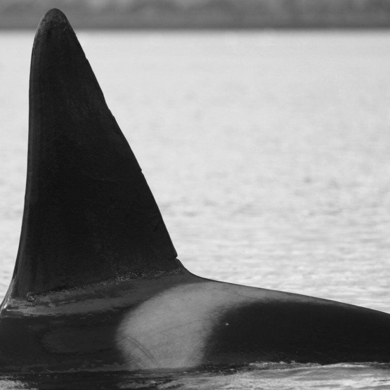 IS151 (Photo by Sara Tavares)