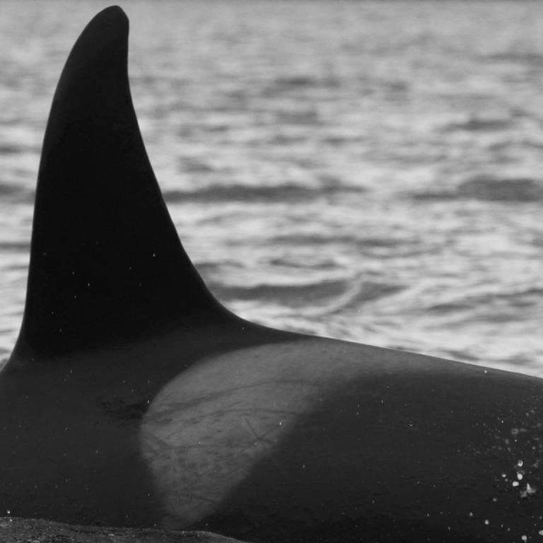 IS153 (Photo by Olga Filatova)