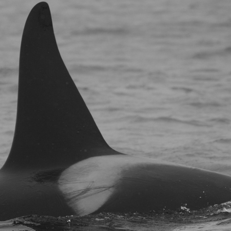 IS157 (Photo by Julie Béesau)