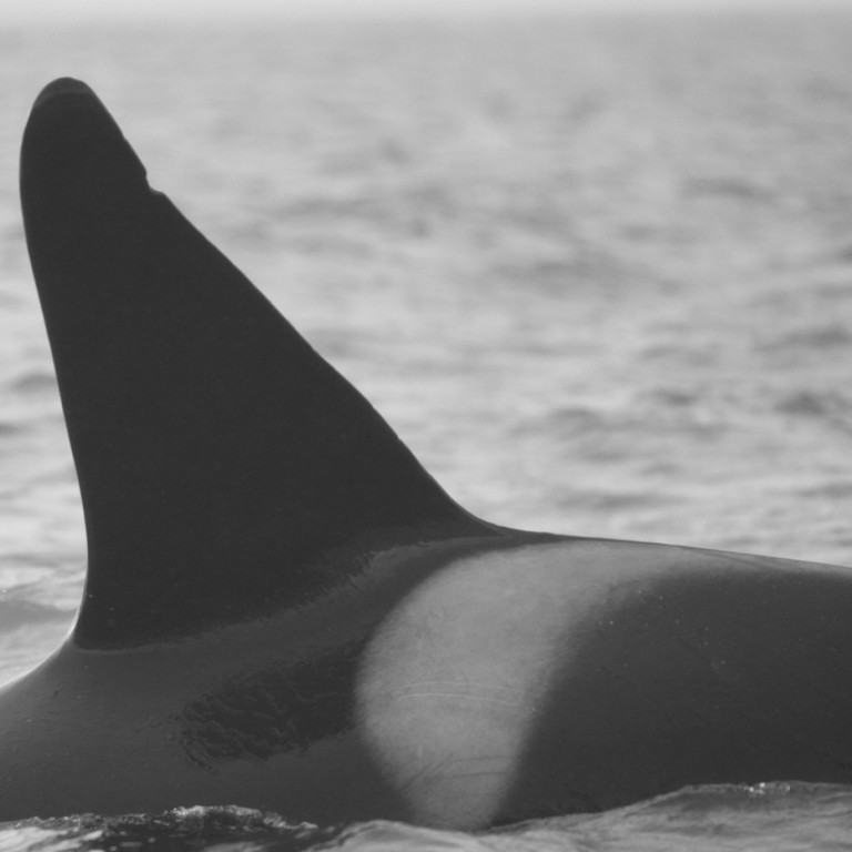 IS159 (Photo by Sara Tavares)