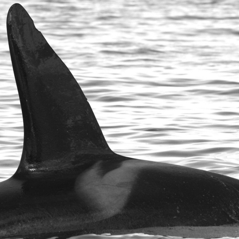 IS164 (Photo by Julie Béesau)