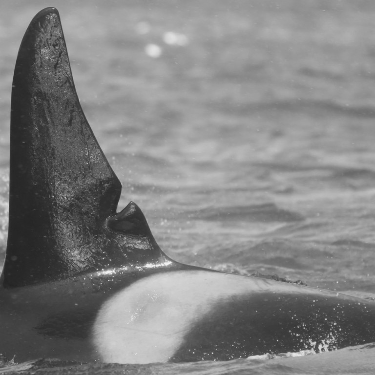 IS165 (Photo by Sara Tavares)