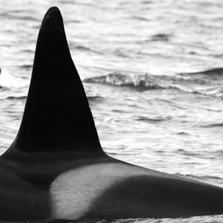 IS168 (Photo by Filipa Samarra)