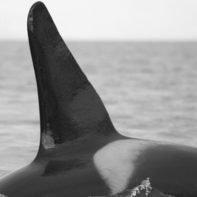 IS169 (Photo by Sara Tavares)