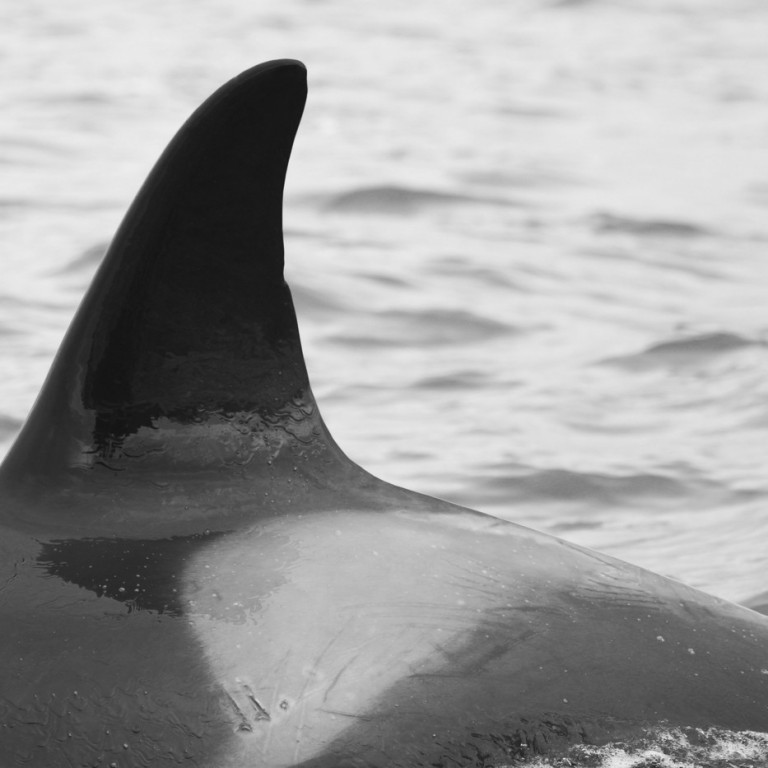 IS172 (Photo by Sara Tavares)