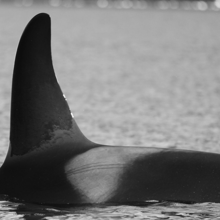 IS176 (Photo by Sara Tavares)