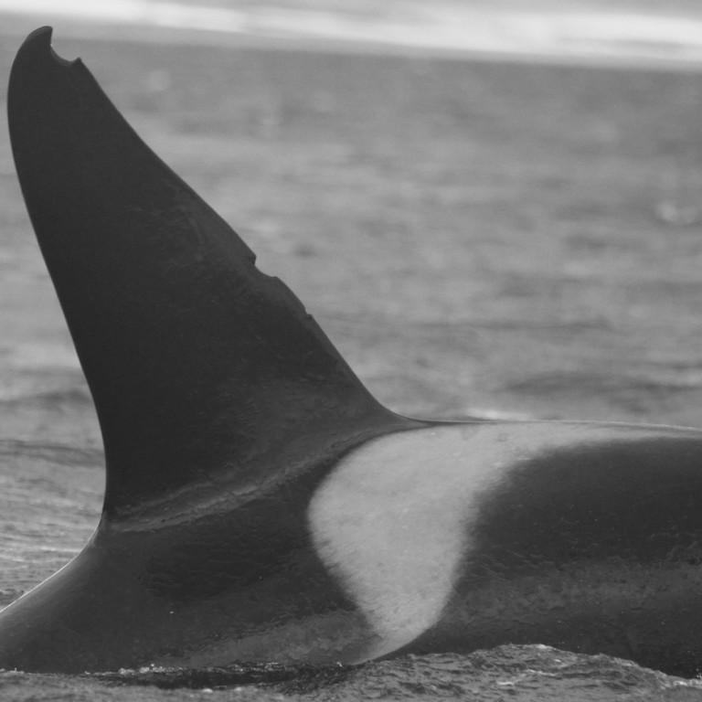 IS178 (Photo by Sara Tavares)