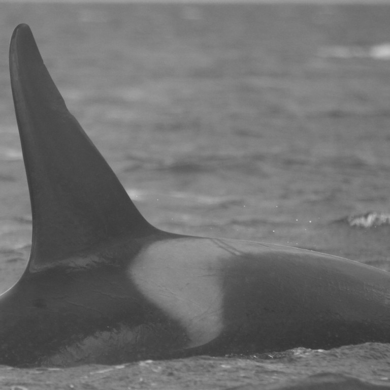 IS179 (Photo by Sara Tavares)