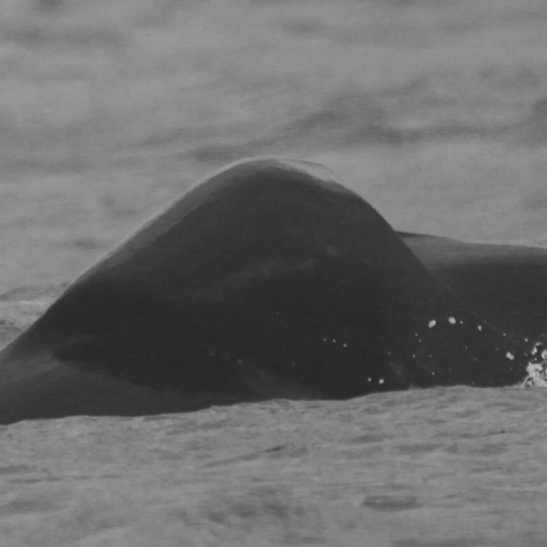 IS181 (Photo by Sara Tavares)