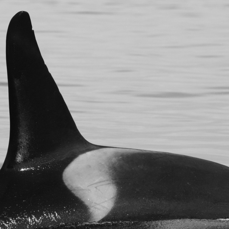 IS185 (Photo by Julie Béesau)