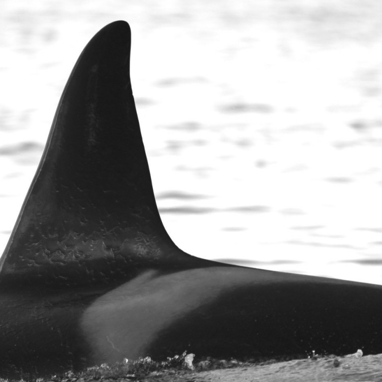 IS189 (Photo by Filipa Samarra)