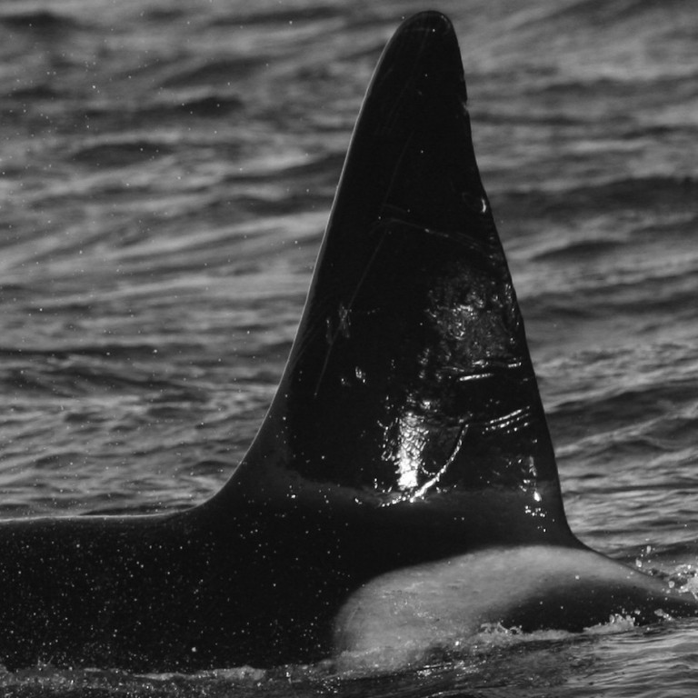 IS191 (Photo by Julie Béesau)