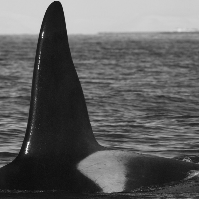 IS194 (Photo by Sara Tavares)