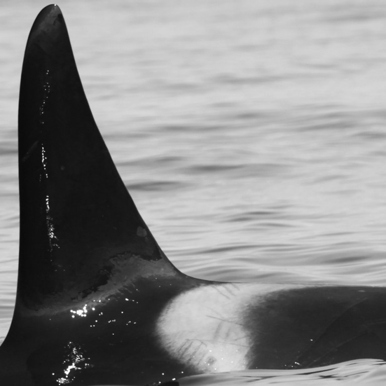 IS197 (Photo by Sara Tavares)