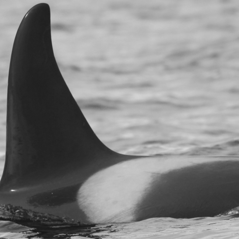 IS201 (Photo by Sara Tavares)