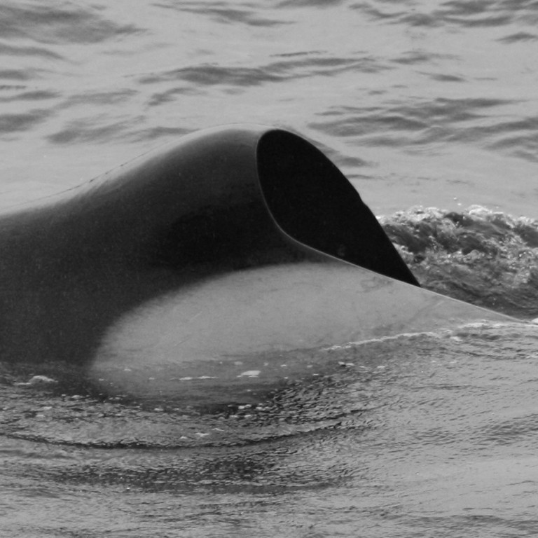 IS202 (Photo by Luisa Klotz)