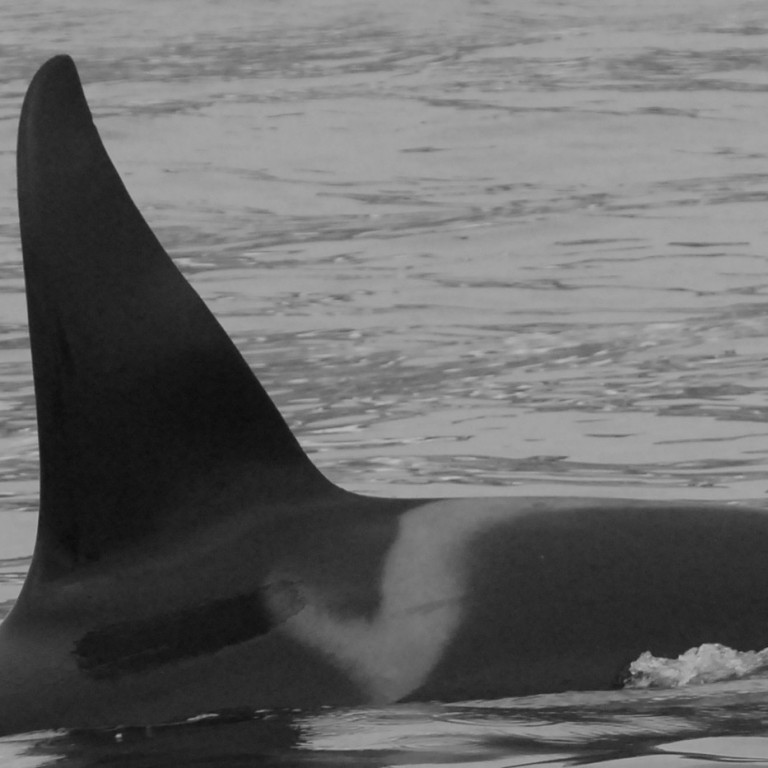 IS204 (Photo by Cathy Harlow)