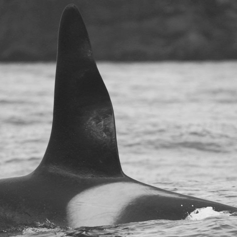 IS211 (Photo by Sara Tavares)