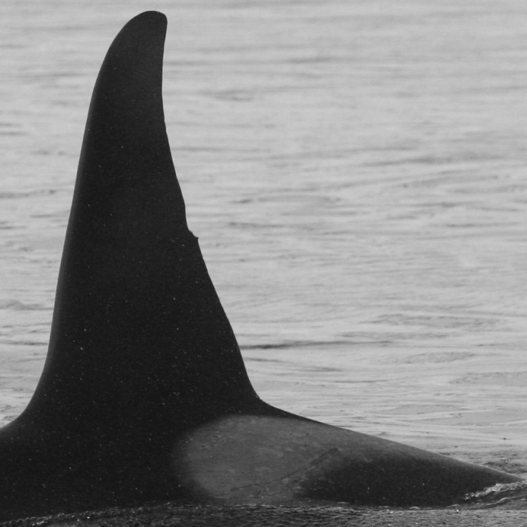 IS212 (Photo by Julie Béesau)