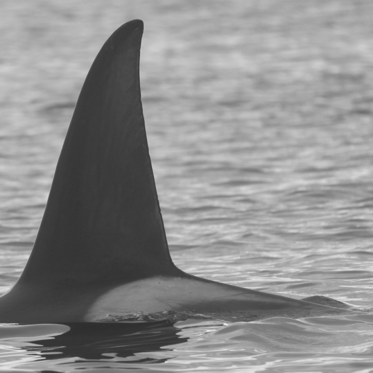 IS213 (Photo by Olga Filatova)