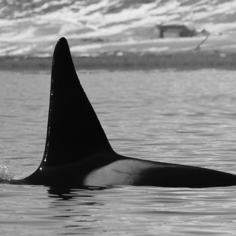 IS216 (Photo by Sara Tavares)