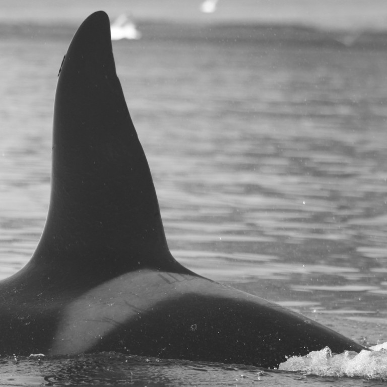 IS225 (Photo by Olga Filatova)