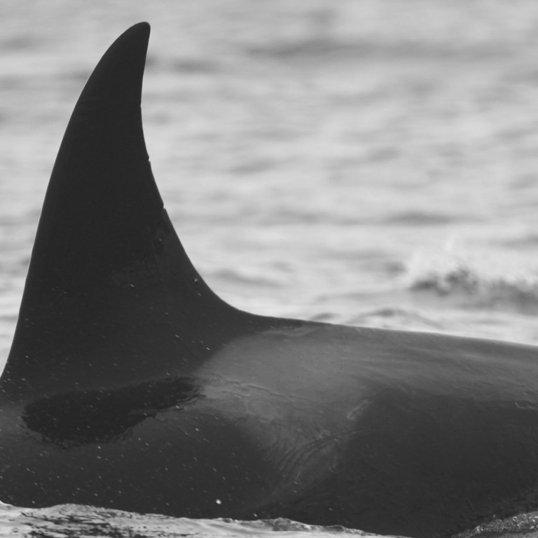 IS229 (Photo by Sara Tavares)