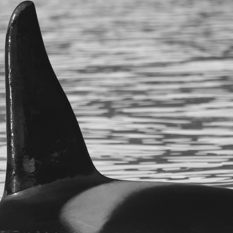 IS233 (Photo by Olga Filatova)