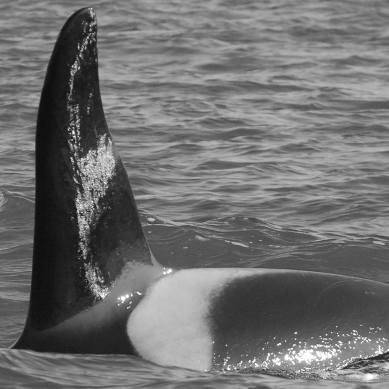 IS236 (Photo by Cathy Harlow)