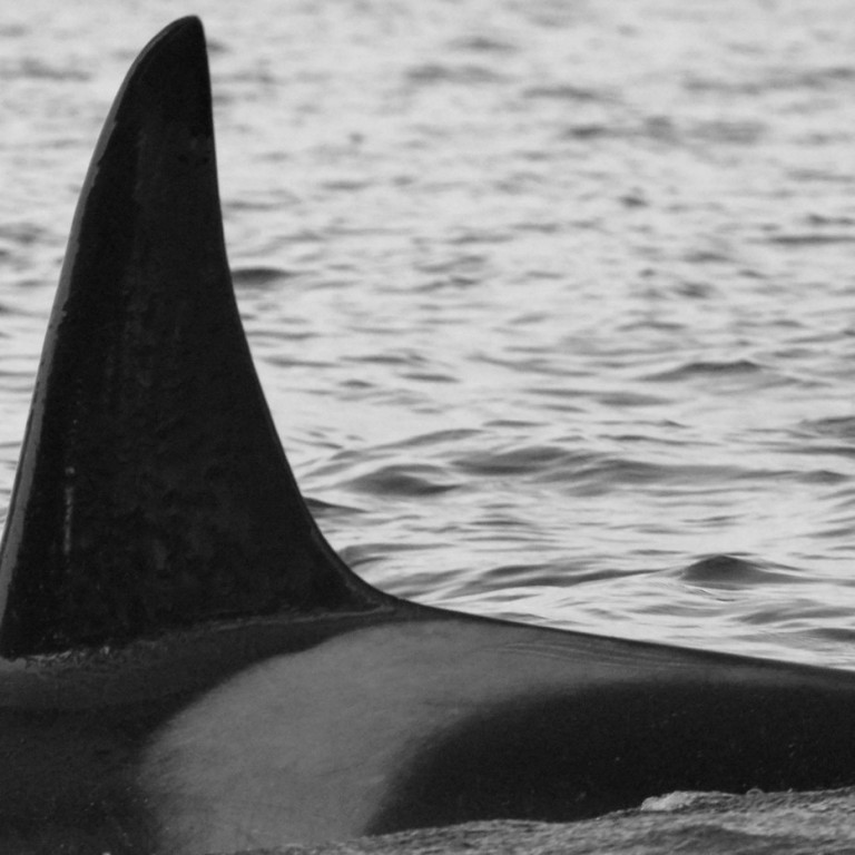 IS238 (Photo by Cathy Harlow)