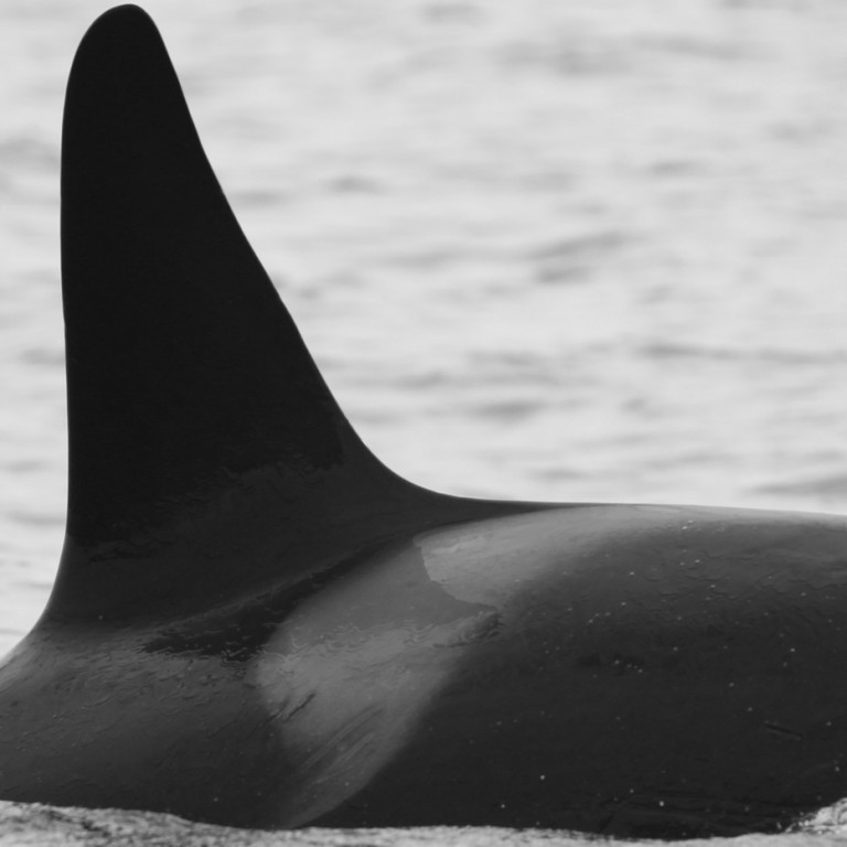 IS249 (Photo by Sara Tavares)