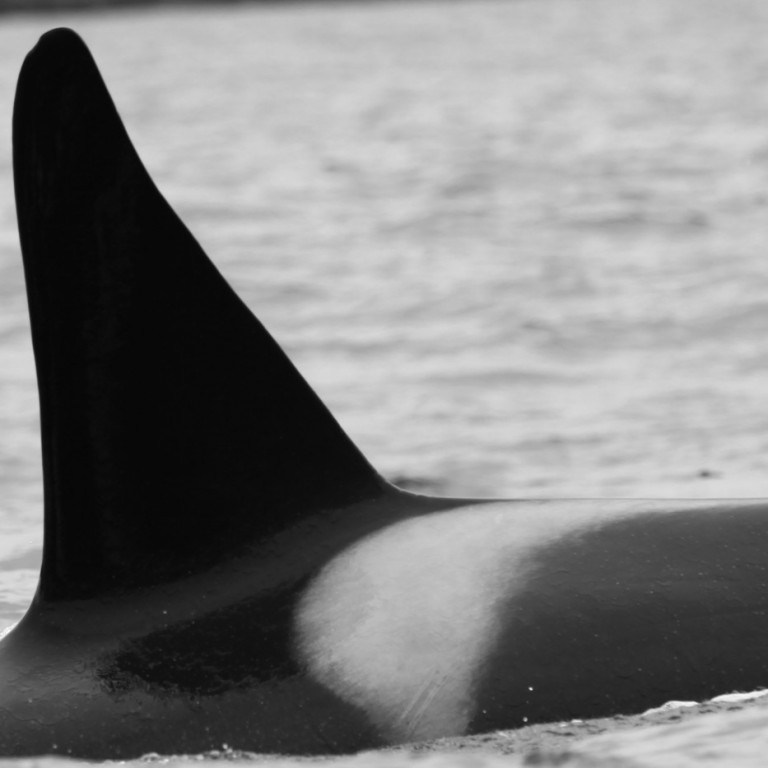 IS254 (Photo by Sara Tavares)