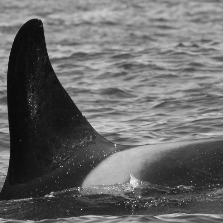 IS258 (Photo by Sara Tavares)