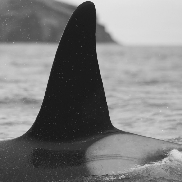 IS261 (Photo by Sara Tavares)