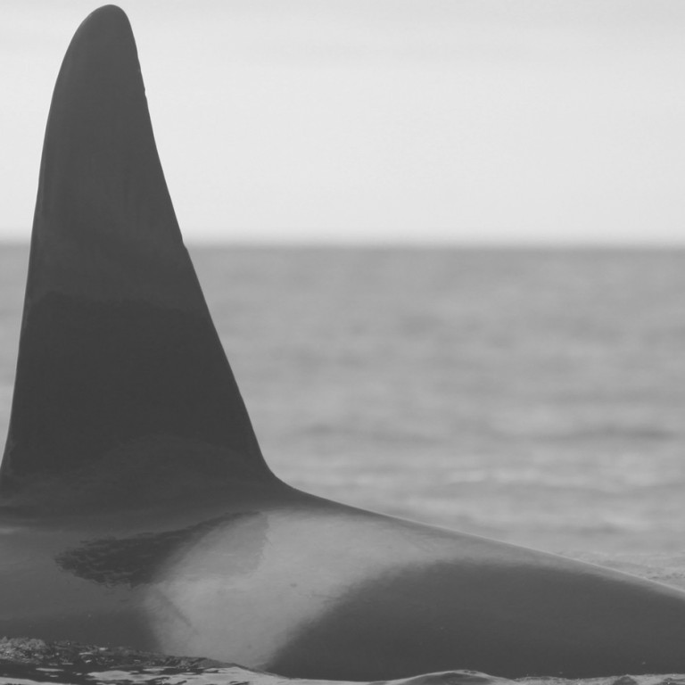 IS263 (Photo by Sara Tavares)