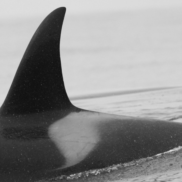 IS266 (Photo by Sara Tavares)