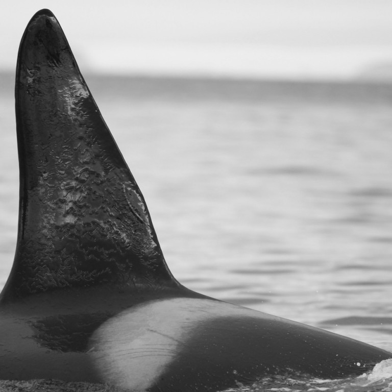 IS267 (Photo by Sara Tavares)