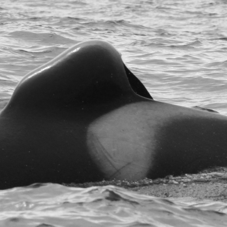 IS268 (Photo by Filipa Samarra)