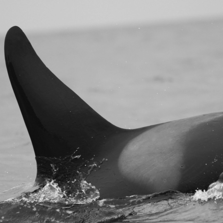 IS280 (Photo by Sara Tavares)