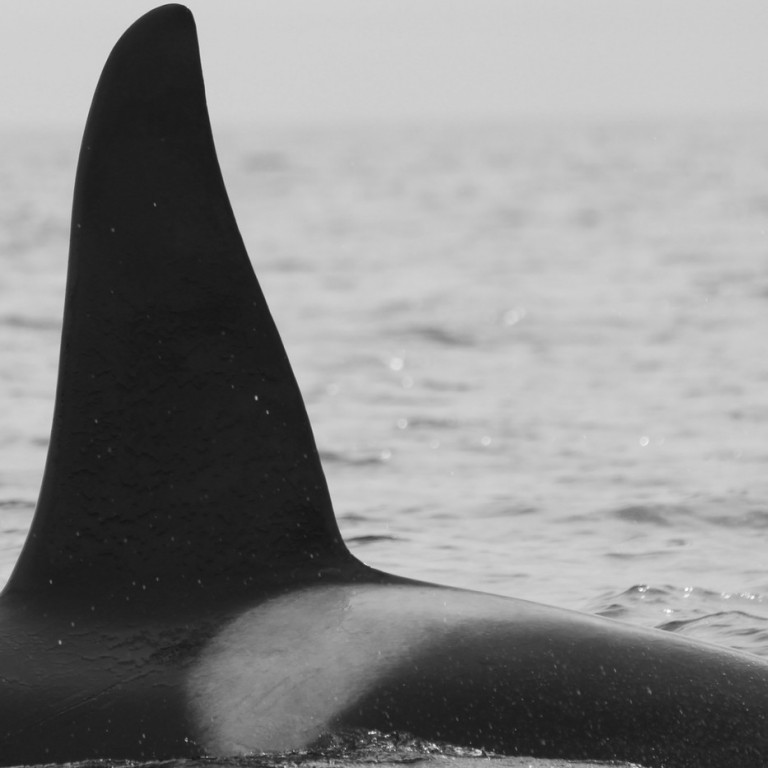 IS281 (Photo by Sara Tavares)