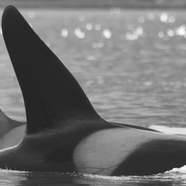 IS289 (Photo by Olga Filatova)