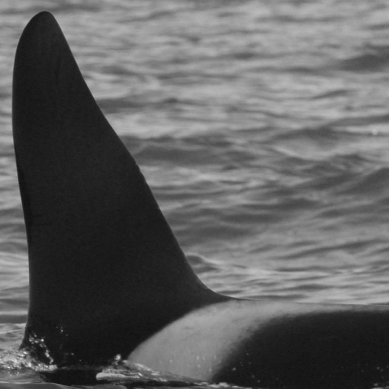 IS303 (Photo by Cathy Harlow)